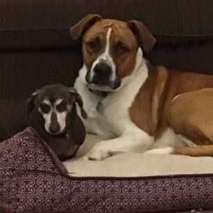 Meet your Posher, Dana